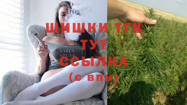 каннабис Новозыбков