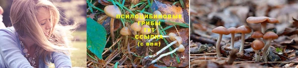 кокаин колумбия Новокубанск
