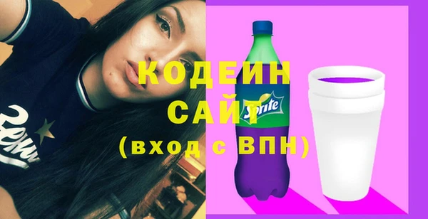 спиды Бикин