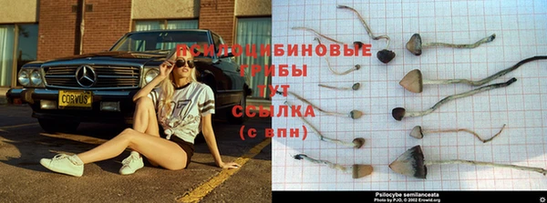 мдпв Нефтекумск