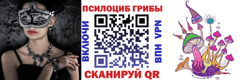 Галлюциногенные грибы мицелий Знаменск