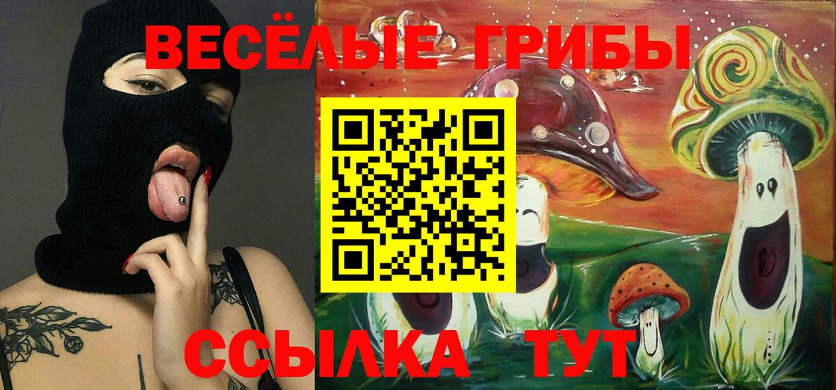 Псилоцибиновые грибы Magic Shrooms Знаменск