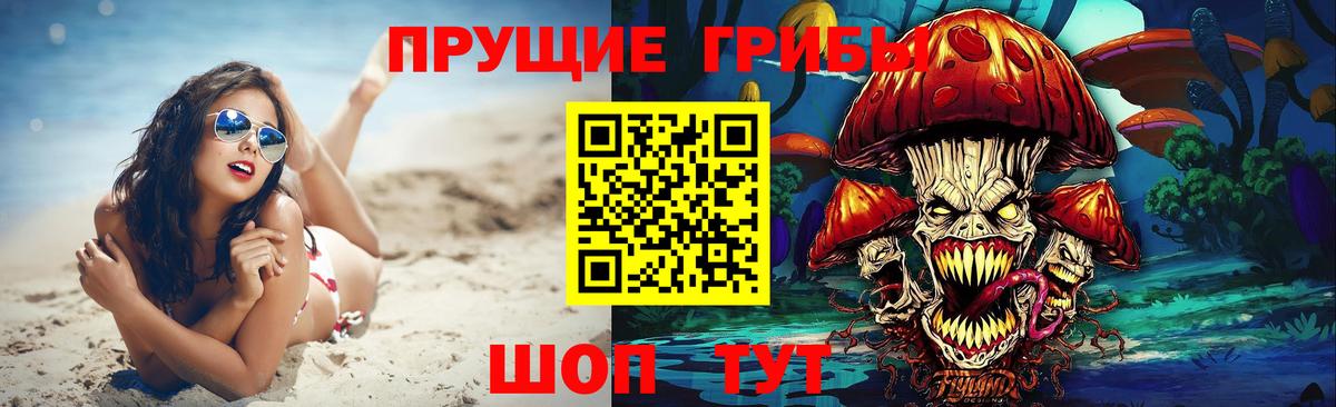 Псилоцибиновые грибы Cubensis Знаменск