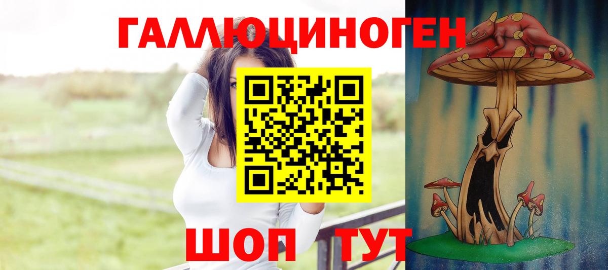 Знаменск  купить наркотики цена  Псилоцибиновые грибы ЛСД  Вход с VPN  Галлюциногенные грибы MAGIC MUSHROOMS 